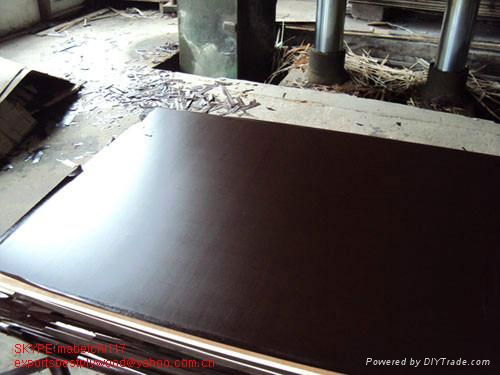 waterproof shuttering film faced plywood for custruction 2