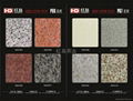 ACP AHP Color Chart 5