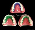 Dental Orthodontic Halwey Retainers  2