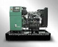 Perkins 7kva-2200kva Diesel Generator