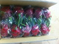 fresh Dragon Fruits 2