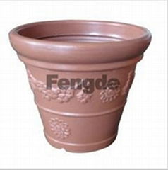 FLOWER POT