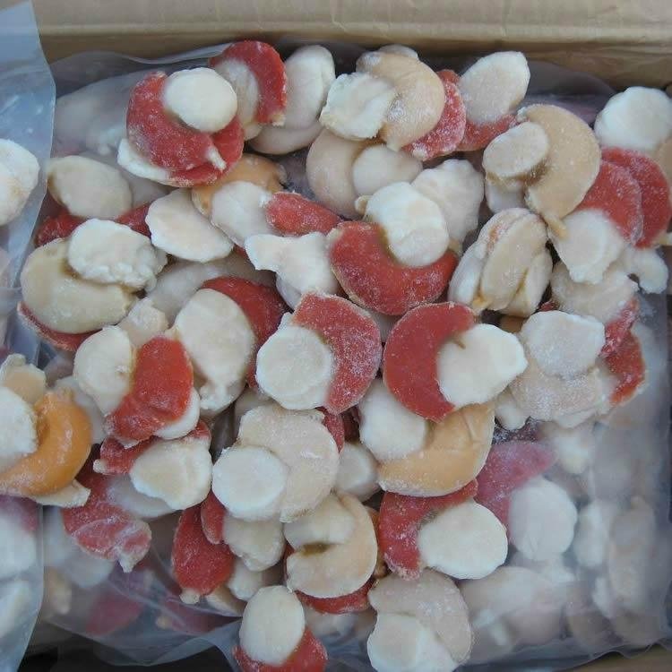 Xia Yibei column with seeds Specification 20/30A frozen seafood