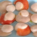 Xia Yi scallop with seeds Specification