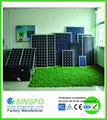 Polycrystalline Solar Panels