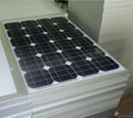 Monocrystalline Solar Panels