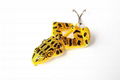 Buzz'n Frog fishing lure topwater 14g 3