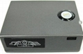 X bug GSM bug 1