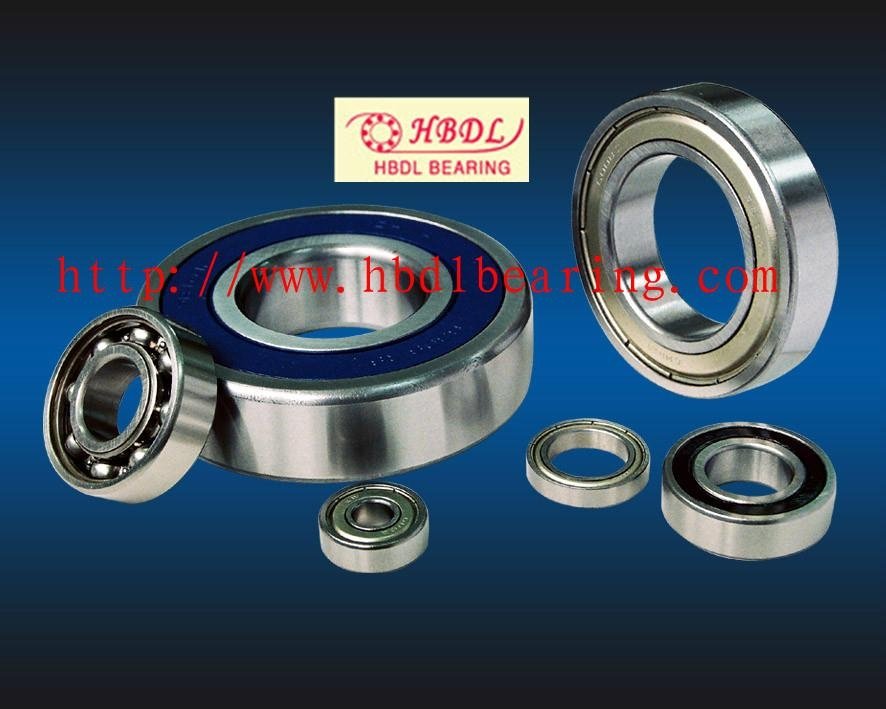 Deep groove ball bearings with snap ring groove on outer rings