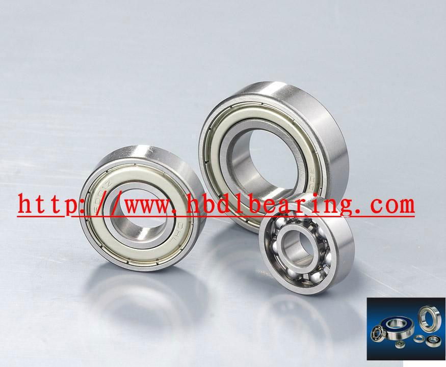 Sealed deep groove ball bearings with snap ring groove on outer rings 3