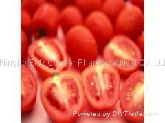 tomato extract Lycopene 5% 10% 90%