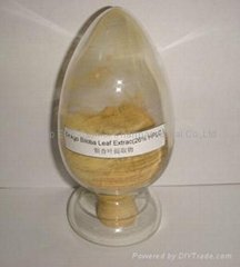 Ginkgo Biloba Extract in herbal extract
