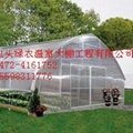 呼和浩特陽光板綠農花卉蔬菜溫室大棚