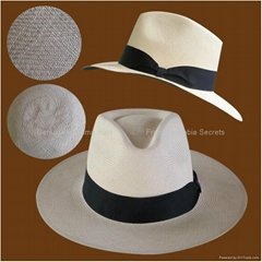 Fedora. Panama Hat