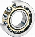 SKF 7002AC Angular Contact Ball Bearings 1