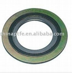 spiral wound gasket