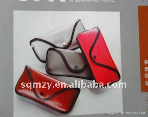 eva sunglass case  