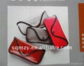 eva sunglass case  