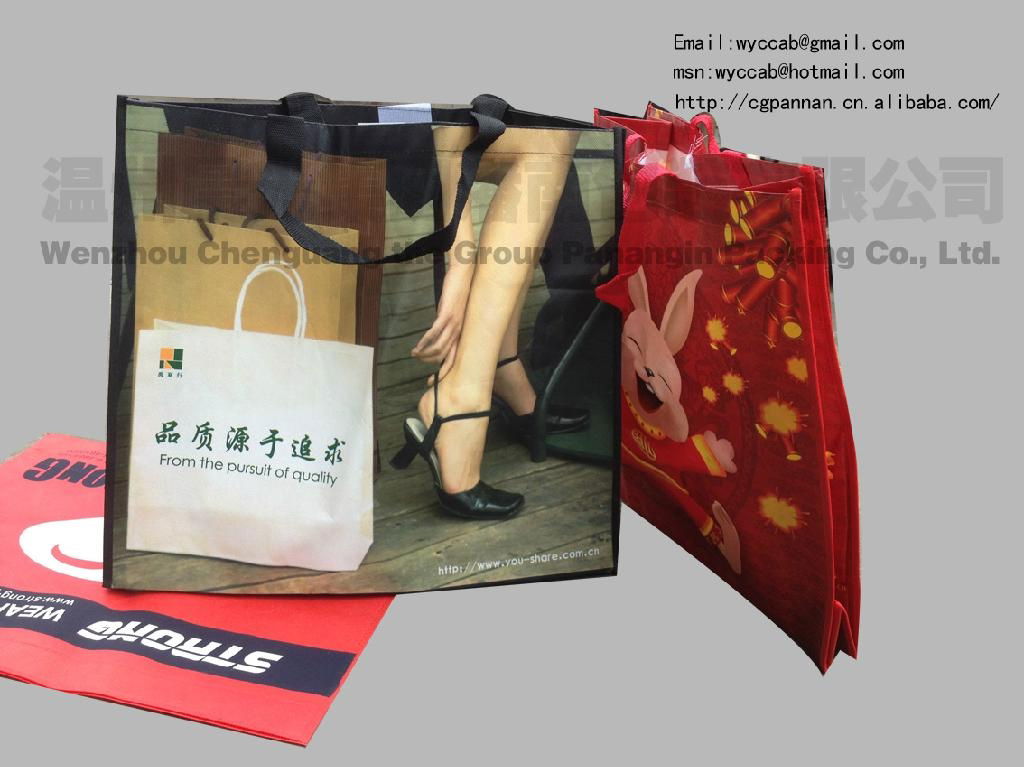 non woven fabrics bags 2