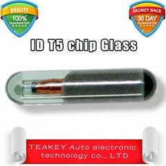 T5 chip (Glass) ID20 Transponder Chip T5 glass chip 