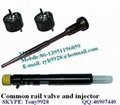 Common rail valve