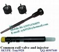 Bosch common rail valve 3