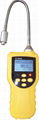 GRI-8304 Portable Combustible Gas Detector