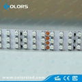 19mm 3528RGB strip, 24v, Hot sales