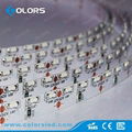 5mm SMD335 cold white 60leds 12v