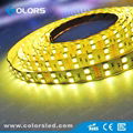 RGB Double Lines Led Strip Light SMD5050 1