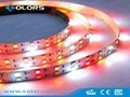 RGB Double Lines Led Strip Light SMD5050 2
