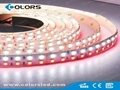 RGB Double Lines Led Strip Light SMD5050 3