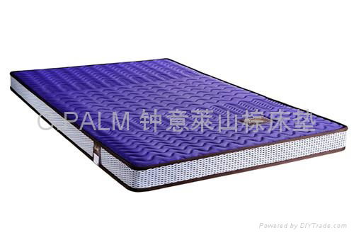 Protect children's series 2 mountain palm mattress