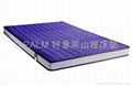 Protect children's series 2 mountain palm mattress