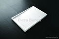 Gorgeous Solid Surface Shower Trays PB3081  1