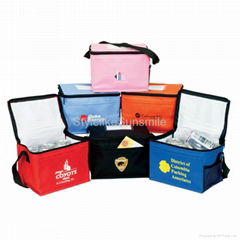 6 Cans Cooler Bag 