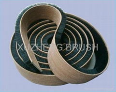 Belt brush