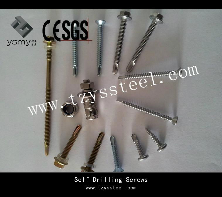 Galvanized Self Drilling Screw    2