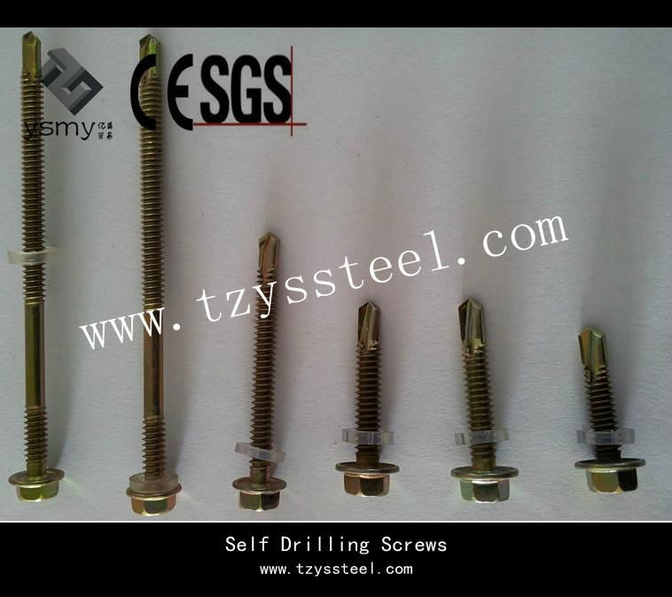 Galvanized Self Drilling Screw    3