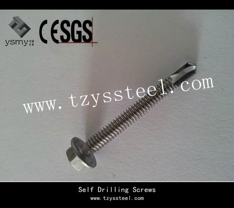 Galvanized Self Drilling Screw    4