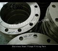 stainless steel flange 2