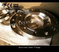 stainless steel flange 4