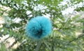 Natural-fur-ball  1