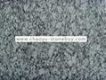 Spray Natural Granite slab 1