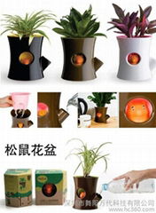 Office potted plants