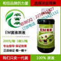 仔豬防病用的微生物em菌保健液如何購買