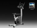 Commercial Upright Bike