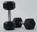 Rubber Hex Dumbbell