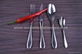 Stainless Steel Cutlery 4 pcs Flatware Sets with Mirror Finish CT-010 4