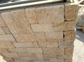 China Limestone-Romane Beige 3